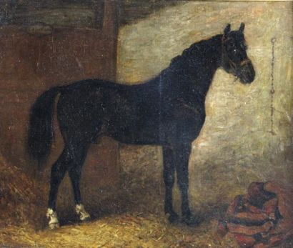 Nicolas MOREAU (XIXème siècle) Etalon noir Huile sur toile signée en bas à droite...