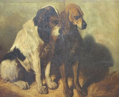 ECOLE FRANCAISE DU XIXème siècle Couple de chiens Huile sur toile 60 x 73 cm