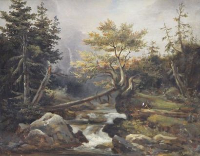 ECOLE FRANCAISE DU XIXème siècle Sous bois Huile sur toile (accidents) 38 x 46 c...