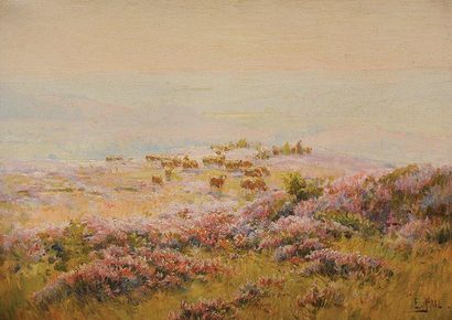 Édouard PAÏL (1851-1916) Moutons et bruyère Sur sa toile d'origine Signée en bas...