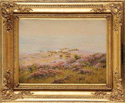 Édouard PAÏL (1851-1916) Moutons et bruyère Sur sa toile d'origine Signée en bas...