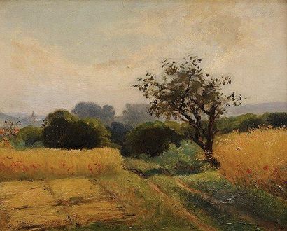 Nicolas Auguste LAURENS (1829 - 1908) Chemin dans les champs Sur sa toile d'origine...