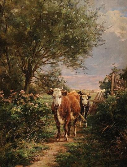 Louis DAREY (1863-1914) Vaches sur un chemin Sur sa toile d'origine Signée en bas...