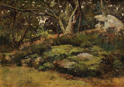 Maurice DAINVILLE (1856-1943) Rochers en forêt de Fontainebleau Huile sur toile Cachet...