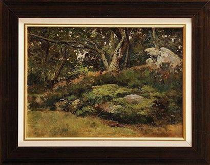 Maurice DAINVILLE (1856-1943) Rochers en forêt de Fontainebleau Huile sur toile Cachet...