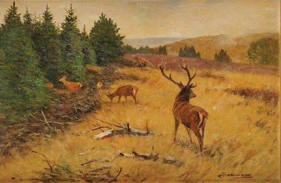 Johann Christopher DRACHTMANN (1856-1931) Biches et cerf en forêt Huile sur carton...