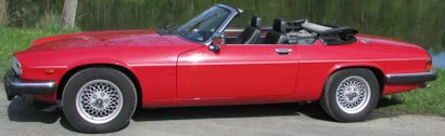 1989 JAGUAR XJS Cabriolet
"Dès 1969, le projet codé XJ 27 est lancé pour créer une...