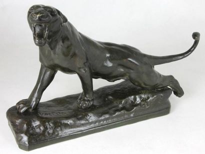 Charles VALTON (1851-1918) Le tigre rugissant Bronze à patine brune signée sur la...