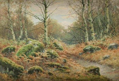Louis H. DELCUS (XIX-XX) Forêt en automne Aquarelle Signée en bas à droite 36 x 54...
