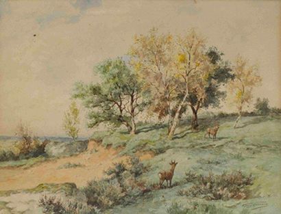 Georges GASSIES (1829-1919) Biches en forêt Aquarelle et crayon Signée en bas à droite...