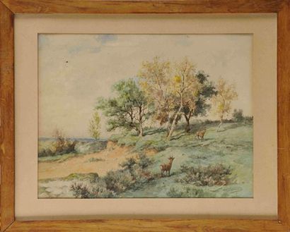 Georges GASSIES (1829-1919) Biches en forêt Aquarelle et crayon Signée en bas à droite...