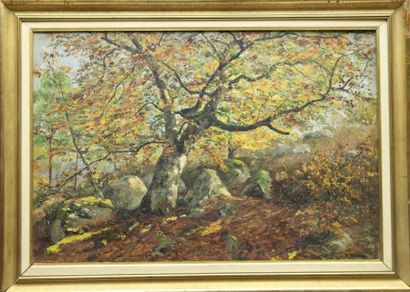 Roger TOURNAY (1884-1969) Matinée d'automne en forêt de Fontainebleau Huile sur toile...