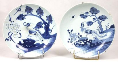 CHINE Deux plats en porcelaine blanc bleu à décor de paon stylisé dans un paysage....