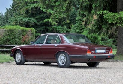 1986 JAGUAR XJ12 N° DE SÉRIE: SAJJDALW4CC462469 
Carte grise française 

Remplaçante...