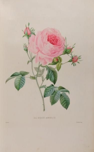 REDOUTE Pierre Joseph Le Bouquet royal, oeuvre posthume dédiée a Sa Majesté la Reine...