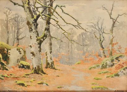 Joseph-Clément-M. JEANNOT (1855-?) Forêt de Fontainebleau Aquarelle Signée et titrée...