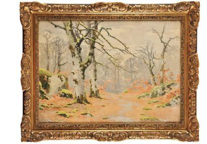 Joseph-Clément-M. JEANNOT (1855-?) Forêt de Fontainebleau Aquarelle Signée et titrée...