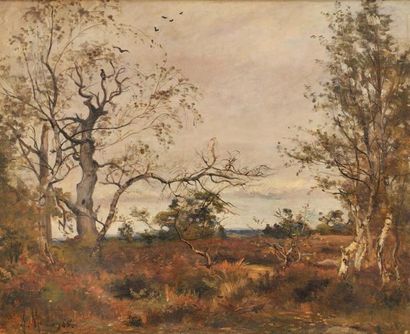 Alfred MOUILLON (1832-1886) Forêt en Automne Sur sa toile d?origine Signé et daté...