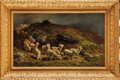 Charles Ferdinand CERAMANO (1829-1909) Troupeau de moutons Sur sa toile d?origine...