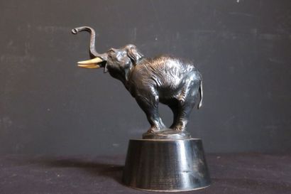 null  « Éléphant », bronze signé Charles, 1920-1925, défenses en ivoire. Il s’agit...