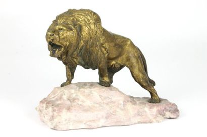 Prosper LECOURTIER (1855-1924-25) Lion rugissant Groupe en bronze à patine dorée...