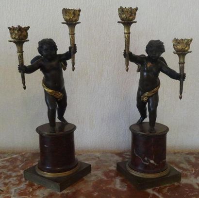 null PAIRE DE CANDELABRES à deux bras de lumière en bronze à double patine brune...