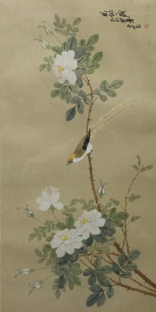 CHINE Peinture sur soie à décor d'un oiseau sur un branchage XXème siècle 66 x 32...