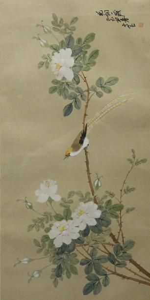 CHINE Peinture sur soie à décor d'un oiseau sur un branchage XXème siècle 66 x 32...