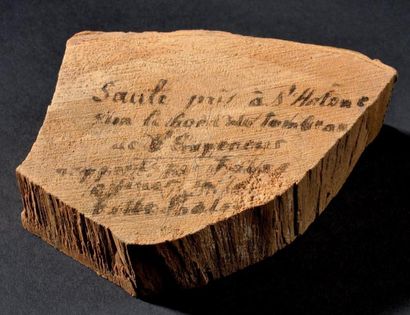 null Sainte-Hélène Morceau de saule. Avec inscription manuscrite à l'encre: «Saule...