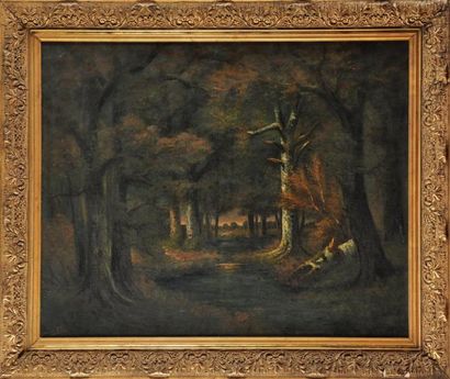 École Française du XIXe siècle Sous-bois Sur sa toile d'origine 80 x 100 cm On its...