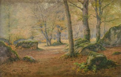 Louis H. DELCUS (XIX-XX) Forêt de Fontainebleau Aquarelle Signée en bas à droite...