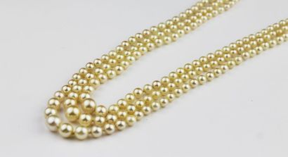 null COLLIER de perles trois rangs le fermoir en or jaune Poids brut: 53 g