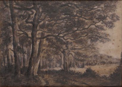 Théodore ROUSSEAU (1812-1867) Les grands chênes Lavis d'encre et trois crayons sur...