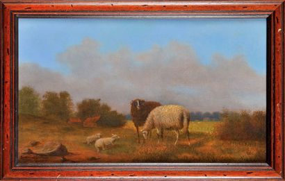 Ferdinand BONHEUR (1817-1887) Moutons aux prés Huile sur panneau Signé et daté 1871...