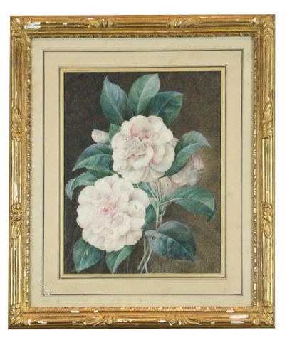 ECOLE FRANCAISE DU XIXème siècle Bouquet de roses Gouache sur vélin 30 x 23,5 cm...