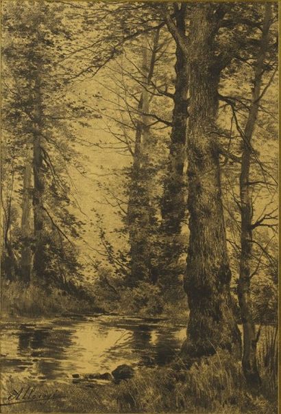 Auguste ALLONGE (1833-1898) Etang en forêt Fusain Signé en bas à gauche 41 x 28 cm...