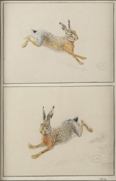 Edouard MERITE (1867-1941) Etudes de lièvres Deux dessins au crayon et à l'aquarelle...