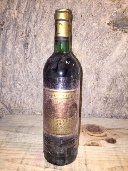 null 6 Bouteilles Château BATAILLEY (Pauillac) 1981