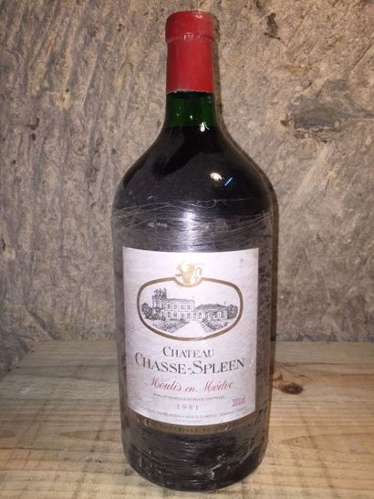 null 1 Double Magnum Château CHASSE SPLEEN (Moulis) 1981