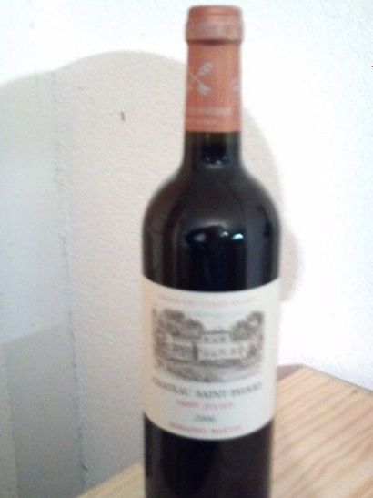 null 12 Bouteilles Château SAINT PIERRE (St Julien) CBO 2006