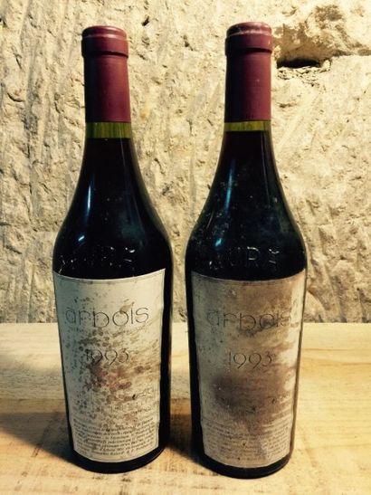 null 2 Bouteilles ARBOIS ROUGE (Rolet) 1993
