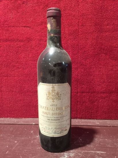 null 2 BLLE
Château DILLON (Haut Médoc) 1988
Belles