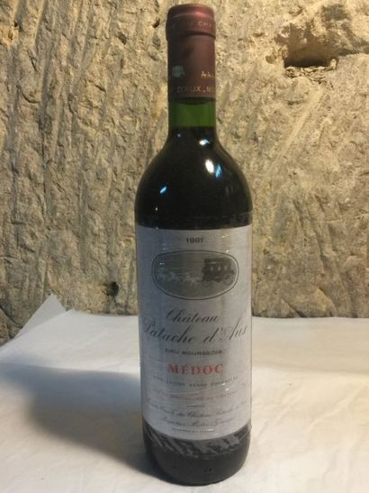 null 6 BLLE
Château PATACHE D'AUX (Haut Médoc) 1981
Très belles