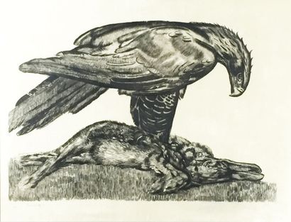 Paul JOUVE (1878 - 1973) Aigle enserrant un lièvre, 1930 Eau-forte sur velours de...