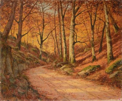 Adrien SCHULZ (1851-1931) Sentier en forêt de Fontainebleau
Sur sa toile d’origine
Signée...