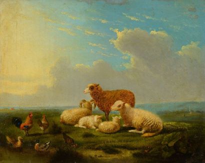 Eugène VERBOECKHOVEN, entourage de Moutons, poules et canards
Huile sur panneau
Non...