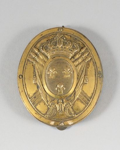 null Plaque de giberne d’officier d’infanterie. En bronze doré aux Armes de France....