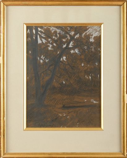 null Henri Joseph HARPIGNIES (1819-1916) Sous-bois Fusain et craie blanche sur papier...