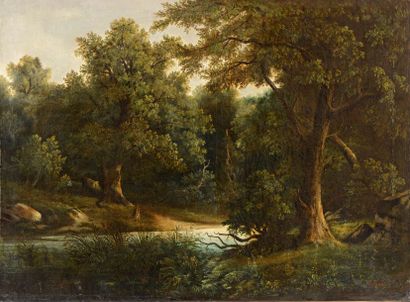 null S. MENARD (XIXème siècle) Rivière en sous-bois Huile sur toile Signée en bas...