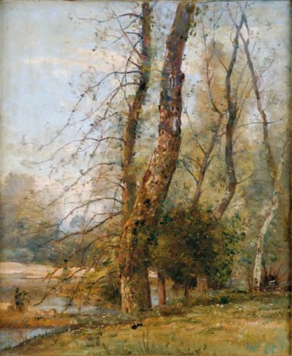 Attribué à Louis Aimé JAPY (1840 - 1916) Arbre près d'une rivière Toile 55,5 x 46,4...